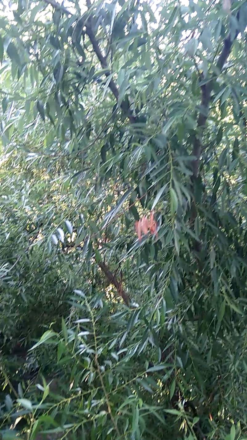 Вид с балкона смотреть онлайн