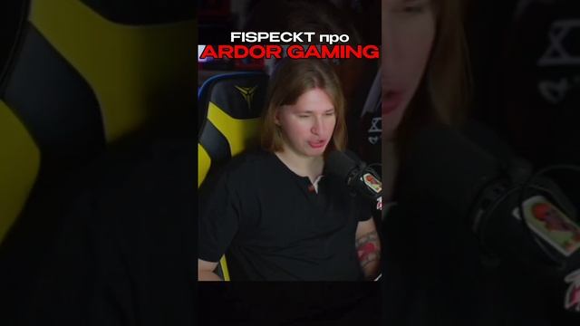 ФИСПЕКТ про ARDOR GAMING /// #фиспект #токсиксквад #fispeckt #toxxxicsquad #девайсы #ardor #gaming смотреть онлайн