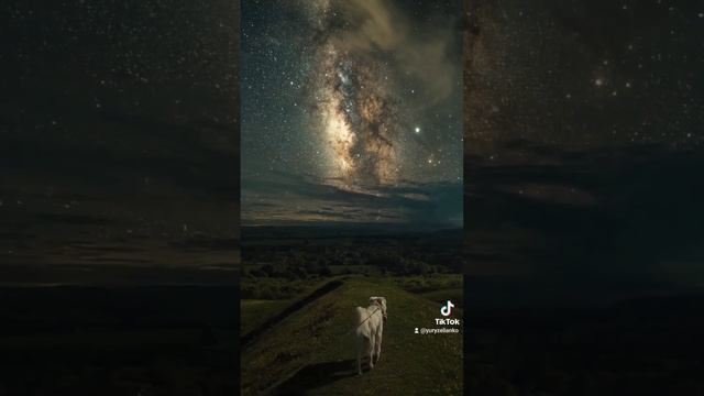 Автор:Светлана Крутянская " Да , я старею, ну и что " смотреть онлайн