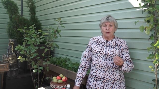 Гниль на яблоках ? Как по плодам определить проблемы сада - хитсад ру смотреть онлайн