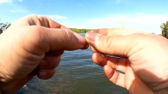 Fishing with the Last GULP Minnow at Skeleton Park (One Inch Minnows) смотреть онлайн