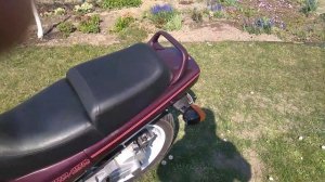 Купил Honda Ntv 650(Revere), первые впечатления после скутера