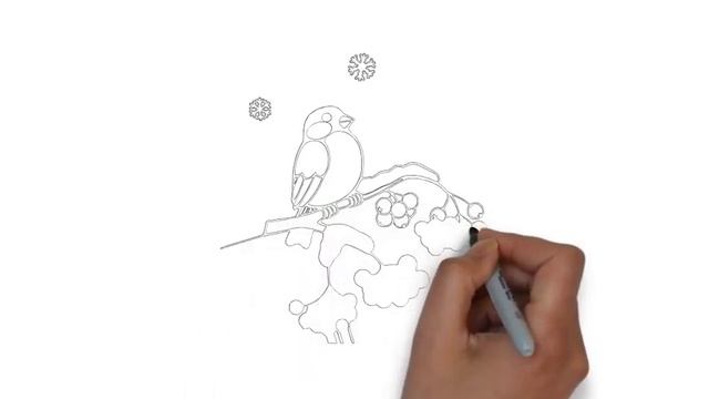 как нарисовать снегиря,how to draw a bullfinch,cómo dibujar un camachuelo смотреть онлайн