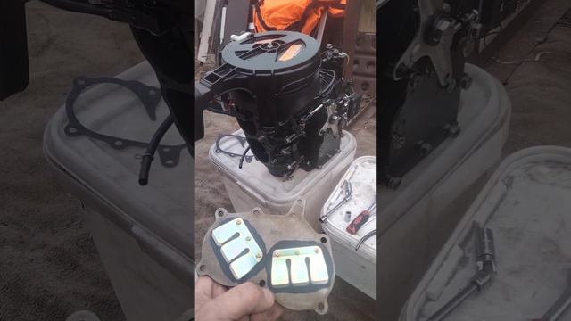 замена клапана на хайди 9.9 PRO