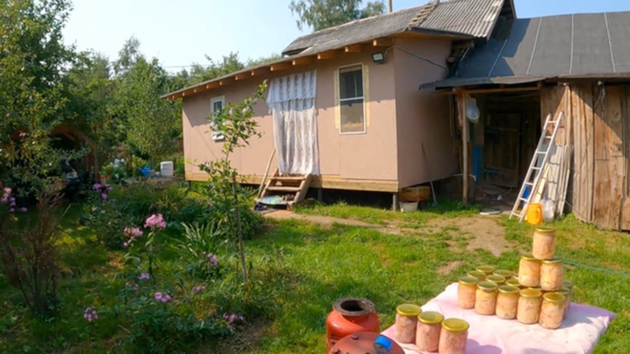 Куры проигрывают вьюну, впервые бройлеры на тушенку - дела деревенские! смотреть онлайн