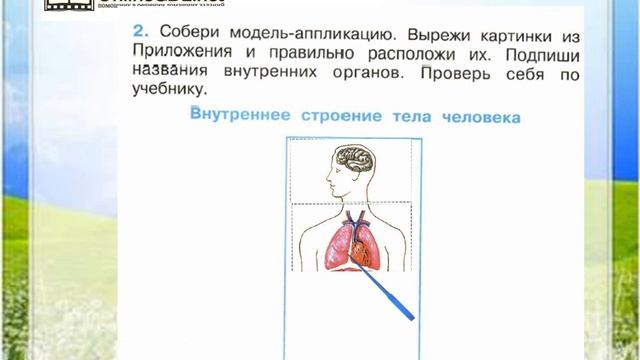 Задание 2 Строение тела человека - Окружающий мир 2 класс (Плешаков А.А.) 2 часть смотреть онлайн