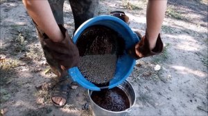 РАЗОБЛАЧЕНИЕ ! ЛИТЬЕ ДРОБИ НА КОНСЕРВНУЮ БАНКУ