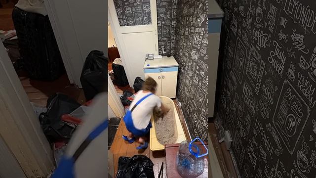 Жидкие обои + и - ремонт жидкиеобои ремонтсвоимируками #ремонтквартиры смотреть онлайн