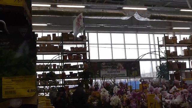 Мои покупки семян в магазине цветов.Выбор семян смотреть онлайн