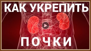 КАК УКРЕПИТЬ ПОЧКИ.mp4