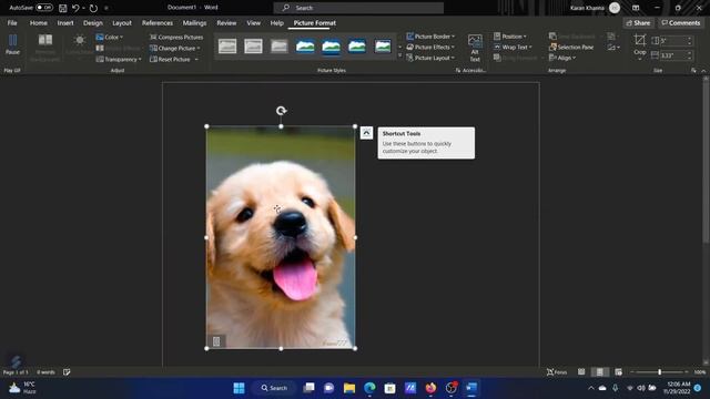 How to insert animated GIF in Word document смотреть онлайн