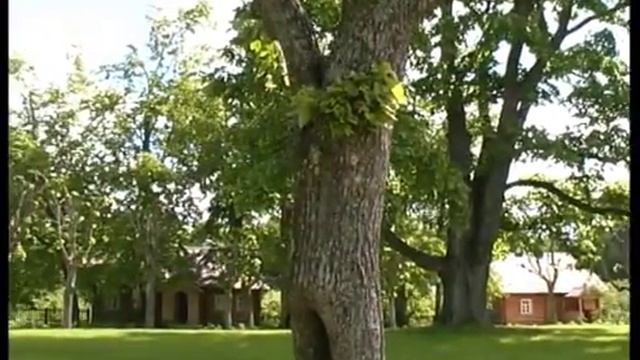 Волшебные места смотреть онлайн