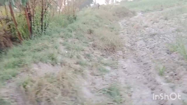 vlog NO 10 https://www.facebook.com/profile.php?id=100083394475172&mibextid=ZbWKwL tayyab k Dawar смотреть онлайн