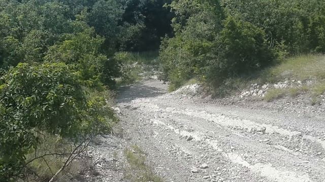 JMC 140MX pitbike on the mountains смотреть онлайн
