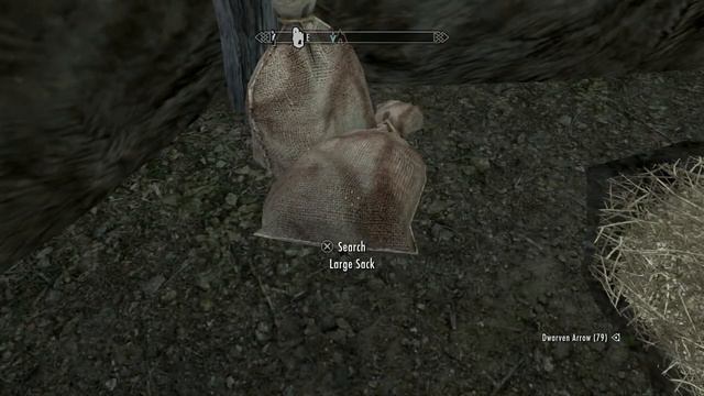 201601101652580 SkyRim New2 219 смотреть онлайн