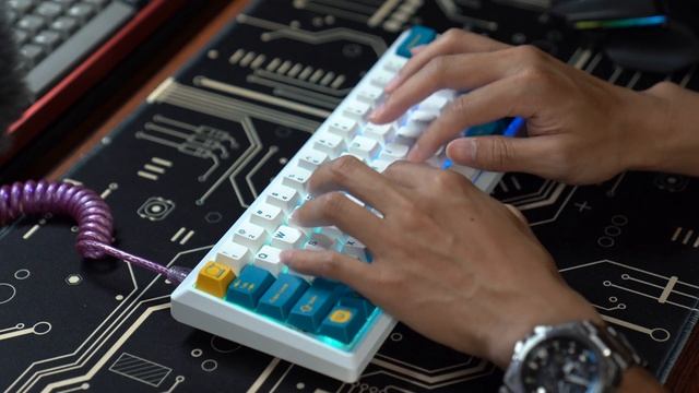 JKDK Shark60 E-White / JM60S RGB / TTC Gold Pink 37g / GMK Merlin - Typing Sounds смотреть онлайн