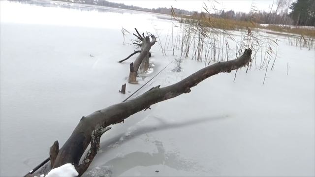 Ловил я на бревне по льду и ДОЛОВИЛСЯ!!! смотреть онлайн
