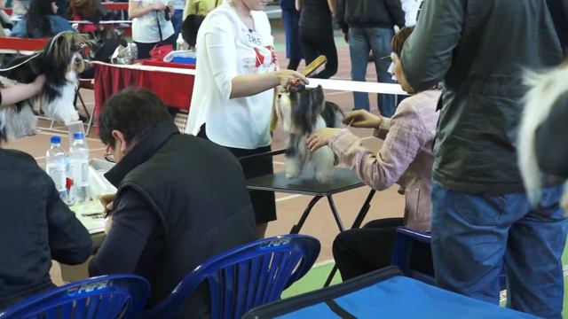 Дэлайт оф Соулз Кира Выставка Самара 18.04.15 смотреть онлайн