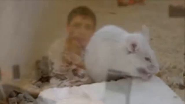 Преимущества каркасной технологии строительства дома смотреть онлайн