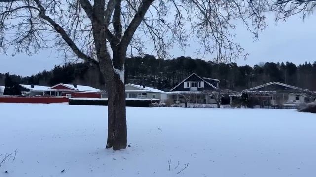 Språkpromenad lördag den 20 januari 2024 смотреть онлайн