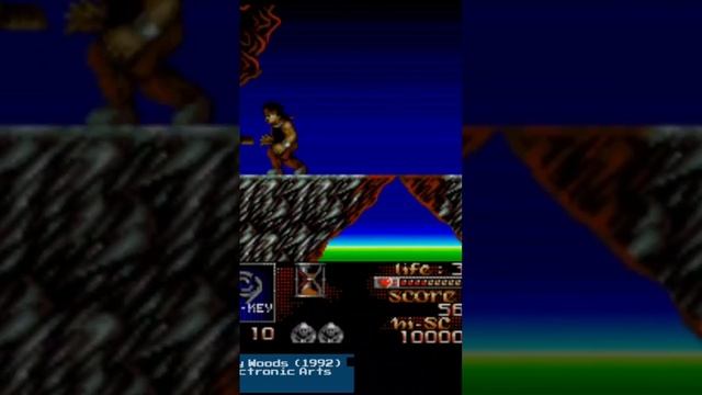 ATARI ST Risky Woods! смотреть онлайн