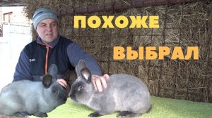 Тот самый Голубой Мардер