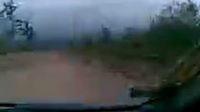 Перегон Владивосток-Новосибирск. Видео 3 смотреть онлайн
