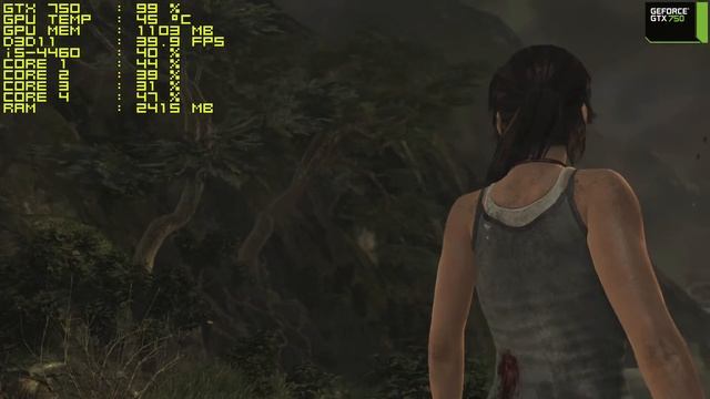 Tomb Raider - NVIDIA GeForce GTX 750 [BENCHMARK] смотреть онлайн