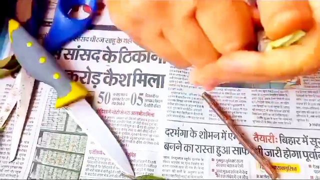 Simple & Best Method To Grow Bougainvillea Cuttings| Bougainvillea flowering tips|Confetti| Garden смотреть онлайн