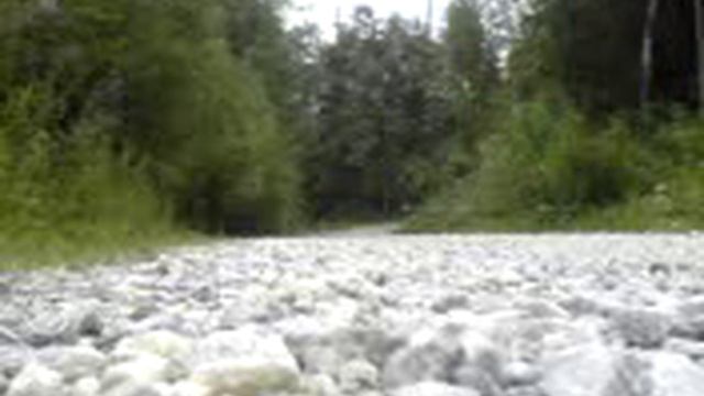 Moped Aprilia RX 80 (50) cross racing смотреть онлайн