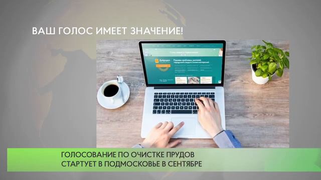 Голосование по очистке прудов стартует в Подмосковье в сентябре смотреть онлайн