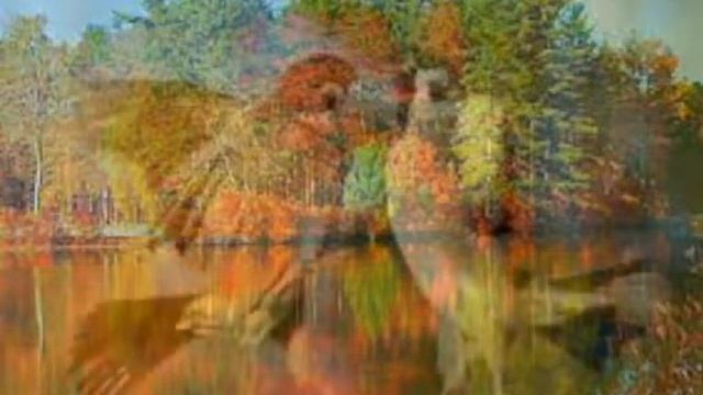 Звуки природы смотреть онлайн