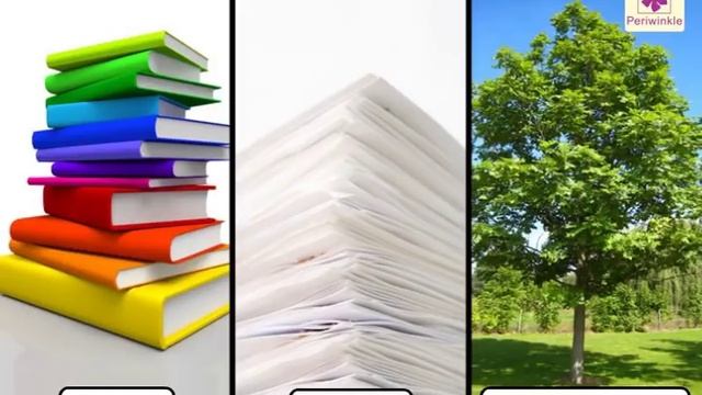 Natural And Man Made Things | Environmental Studies Grade 3 | Periwinkle смотреть онлайн