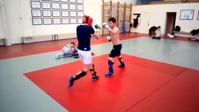 Амурский тигр разрывает парня в бою смотреть онлайн