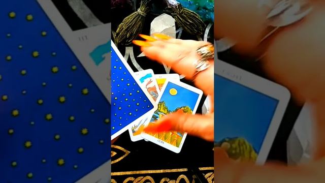 LIVE TAROT & Oracle Online Classes #TAROT #QUEENOFTAROT смотреть онлайн