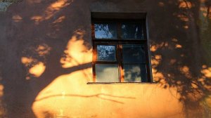 К ТАТЕ. INSOMNIA (БЕССОННИЦА)