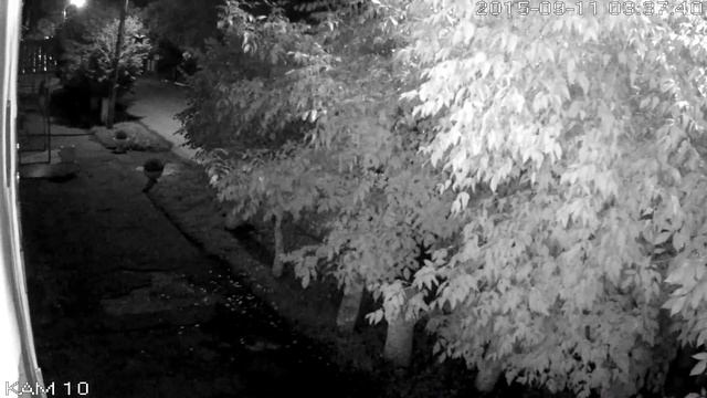 Камера 10 смотреть онлайн