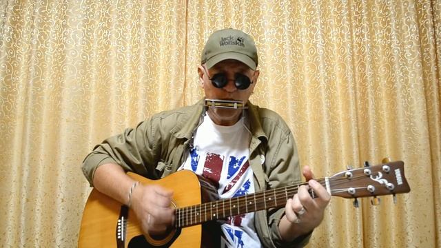 Губная гармошка и гитара The House of the Rising Sun + табы смотреть онлайн