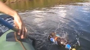 Ловим раков на самые Эффективные раколовки