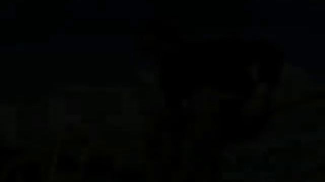 интервью на Пасху