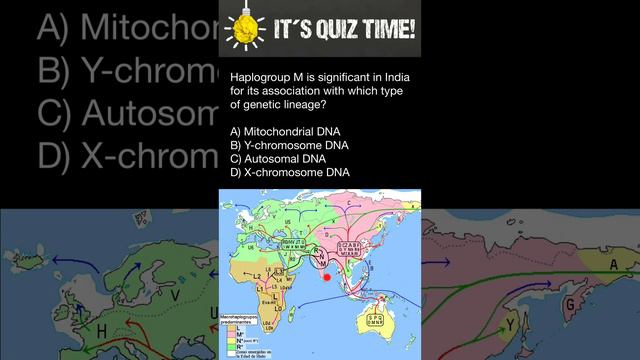 Haplogroup M смотреть онлайн