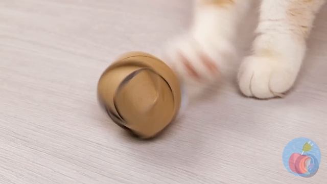 Look! We Found a Cat in the Sand!? Best Pet Owner’s Hacks! смотреть онлайн