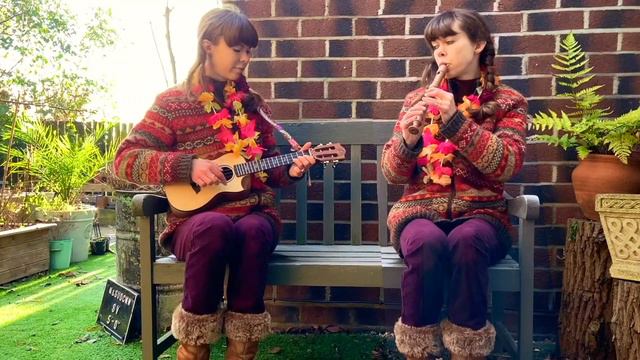 Mele Kalikimaka (recorder and ukulele) смотреть онлайн