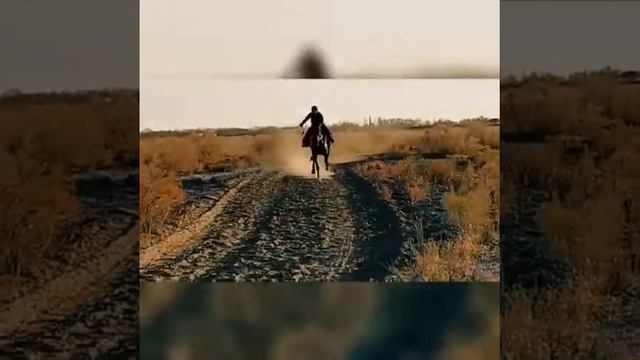 Каракулак Елнават 1 орын смотреть онлайн