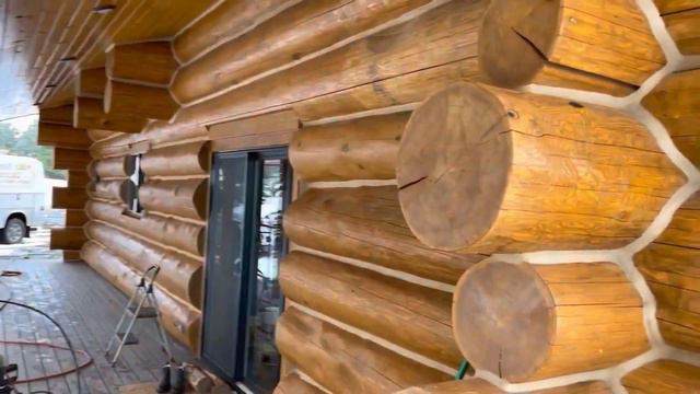 Сруб из Сибирского кедра смотреть онлайн