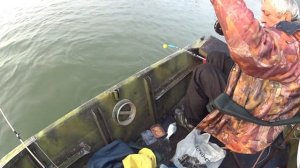 Ловля рыбца в дону с лодки на яйца.РЫБАЛКА УДАЛАСЬ.