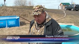 В боровлянском рыбопитомнике выращивают промысловые породы рыб