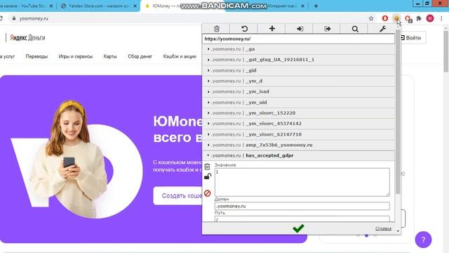 Как зайти в кошелек яндекс деньги с помощью куков (cookie) смотреть онлайн