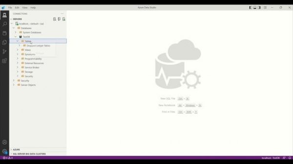 MS SQL Server with Docker