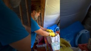 Приготовление трутневого гомогената